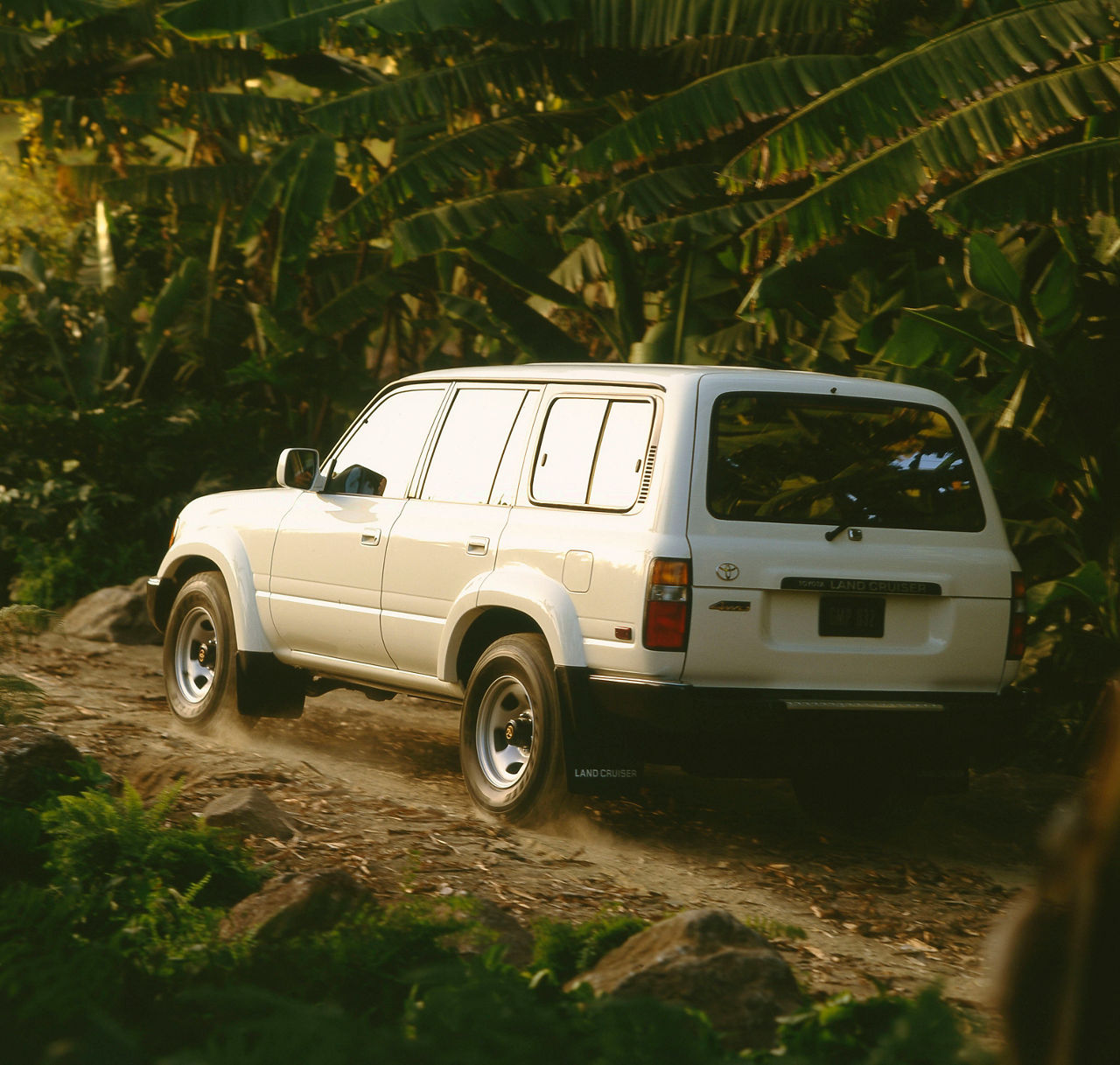 1993 Toyota Land Cruiser