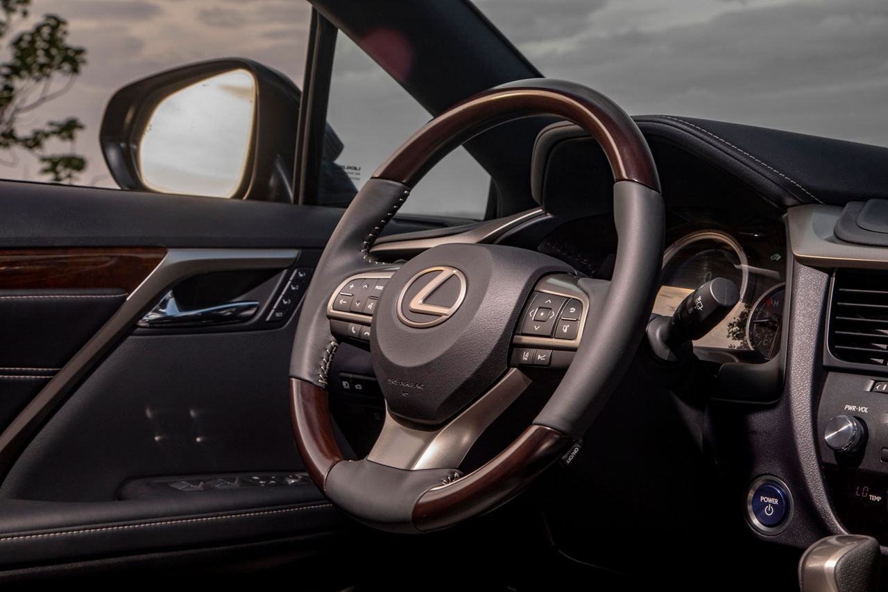 2020 Lexus RX 450H MC Black Circuit Red 120