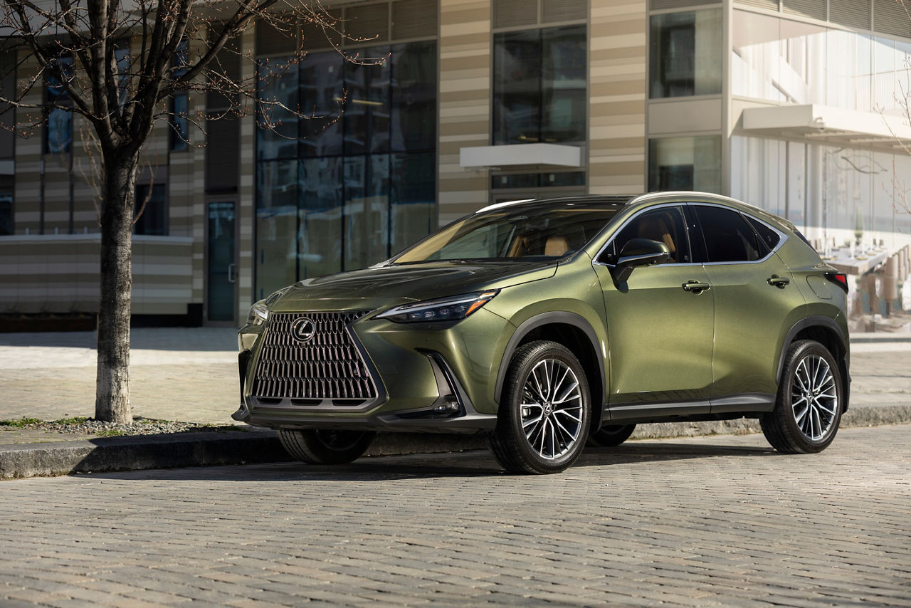 2022-2025 Lexus NX 350