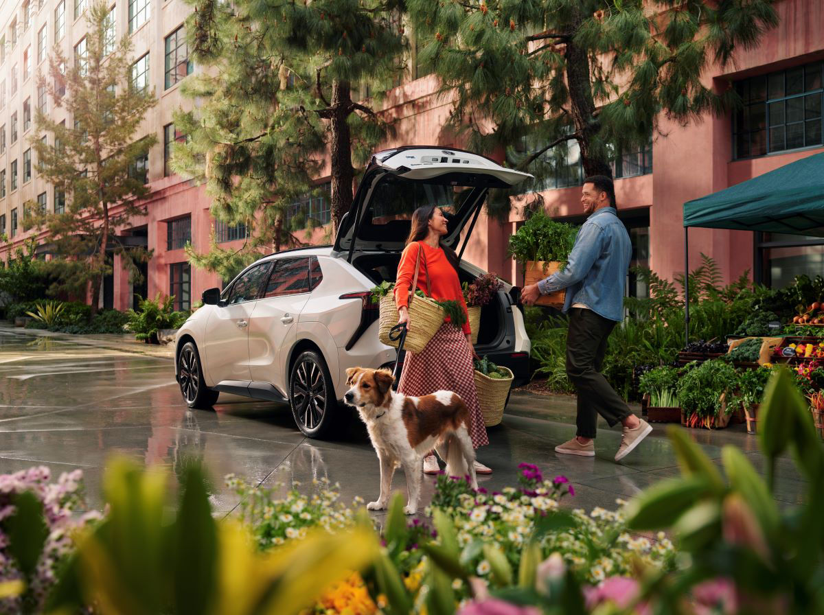 Electric vs Gas Vehicles: How to Make the Right Choice?