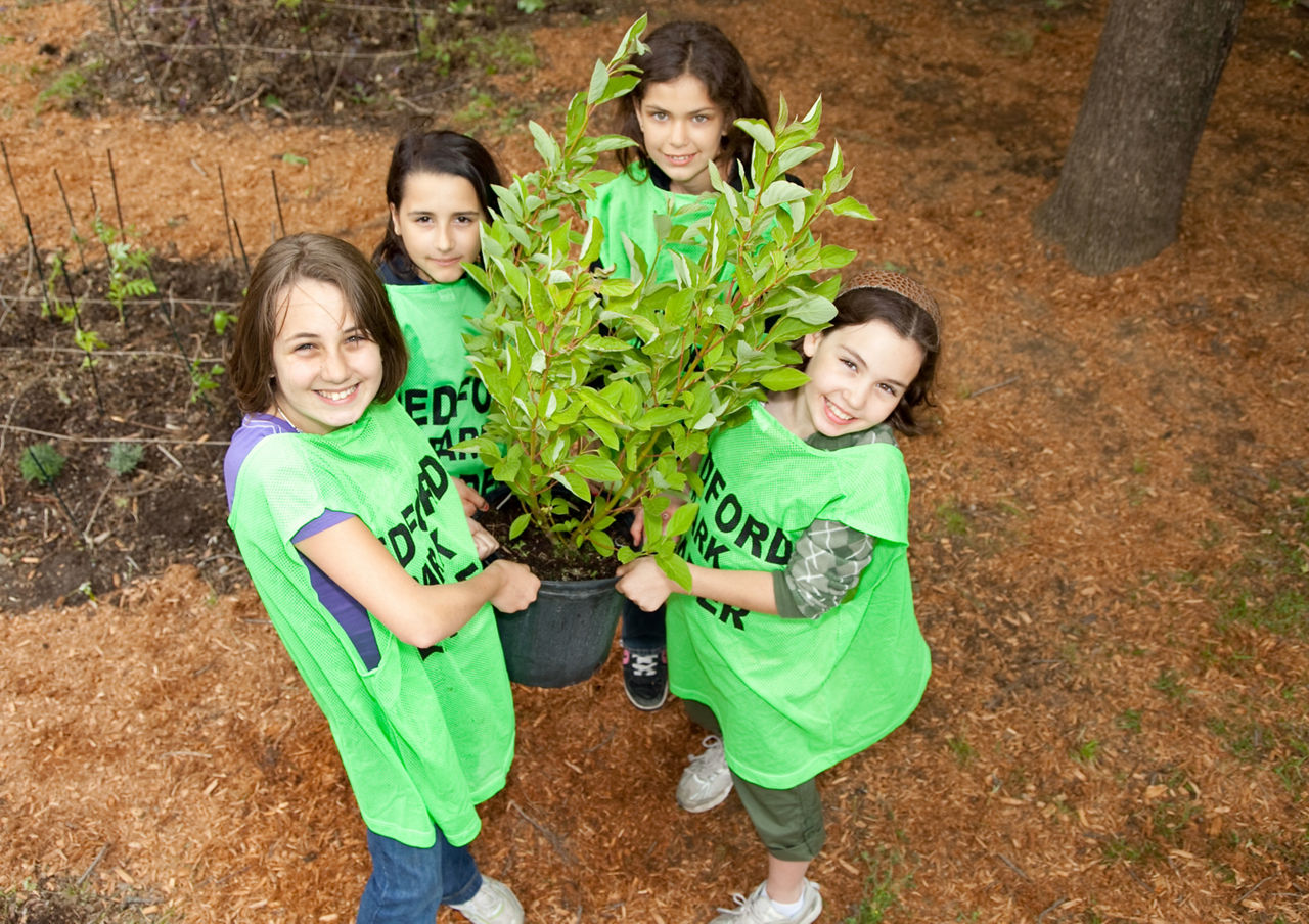 Toyota Evergreen Learning Grounds Program 3