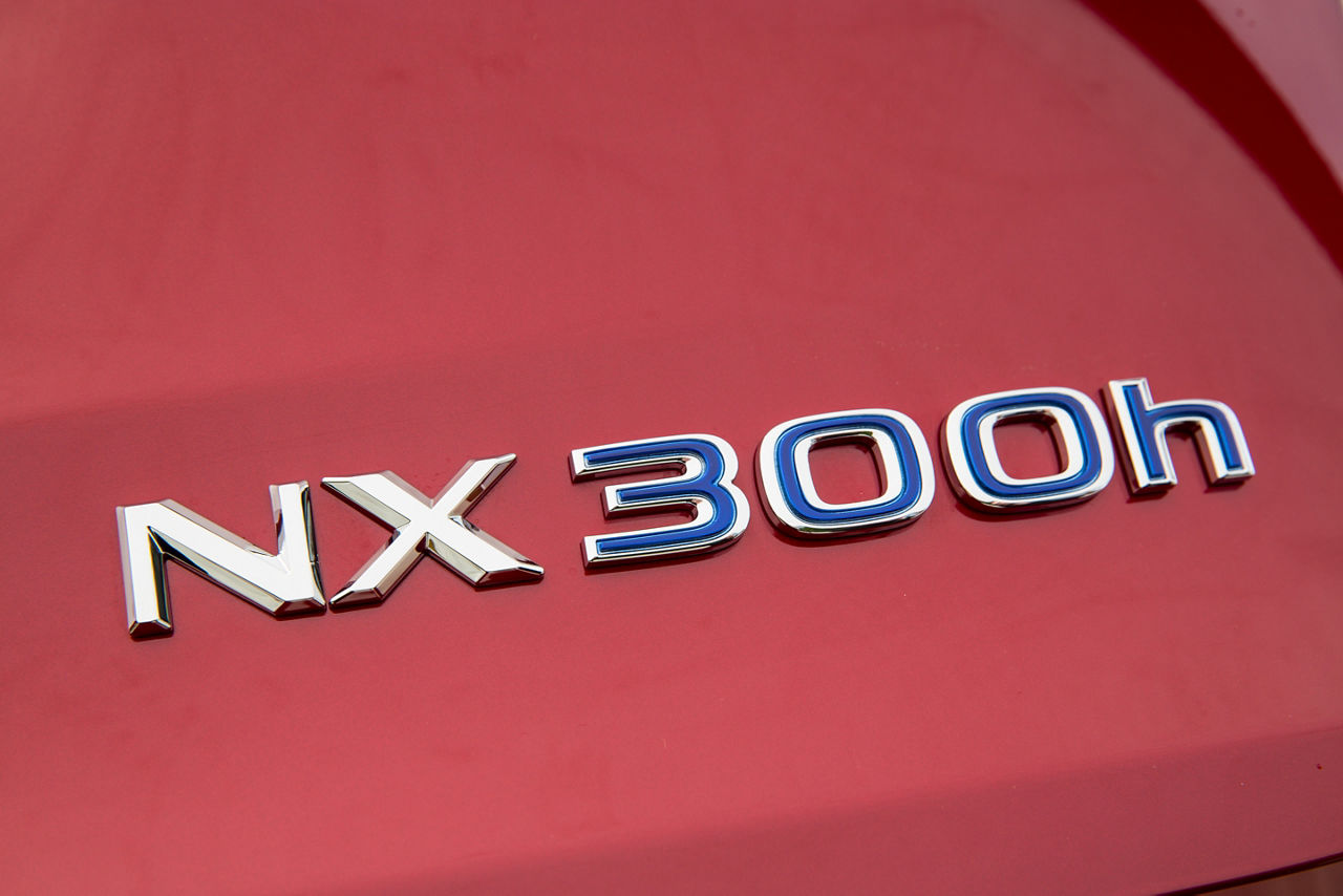 NX 300h_015
