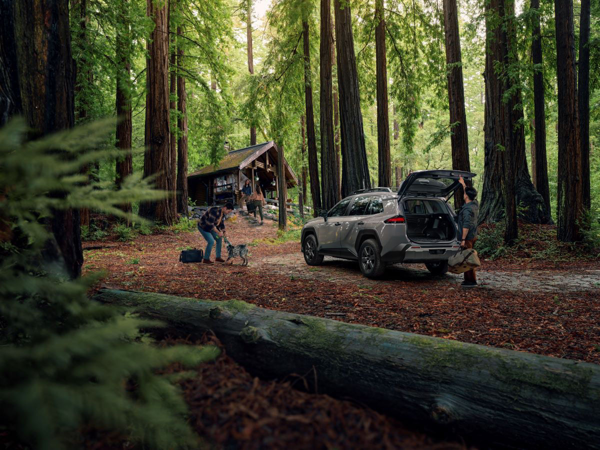 RAV4 Woodland in Outdoors