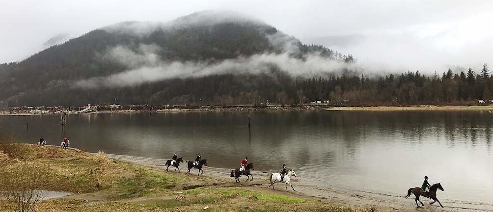 RAV4-World-of-Weekends-Horses-Running-in-Frotn-of-Water.jpg