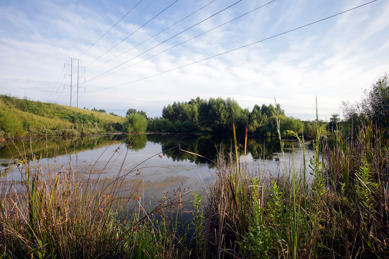 TMMMS_Retention_pond