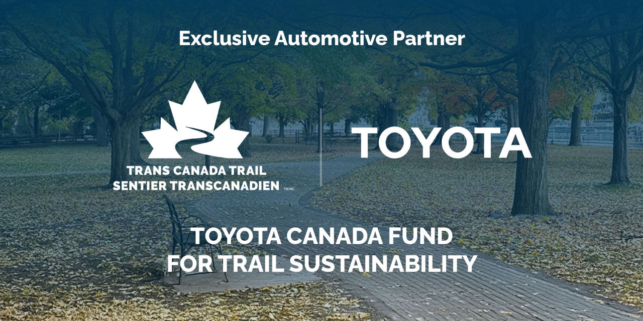 Toyota-fund-EN
