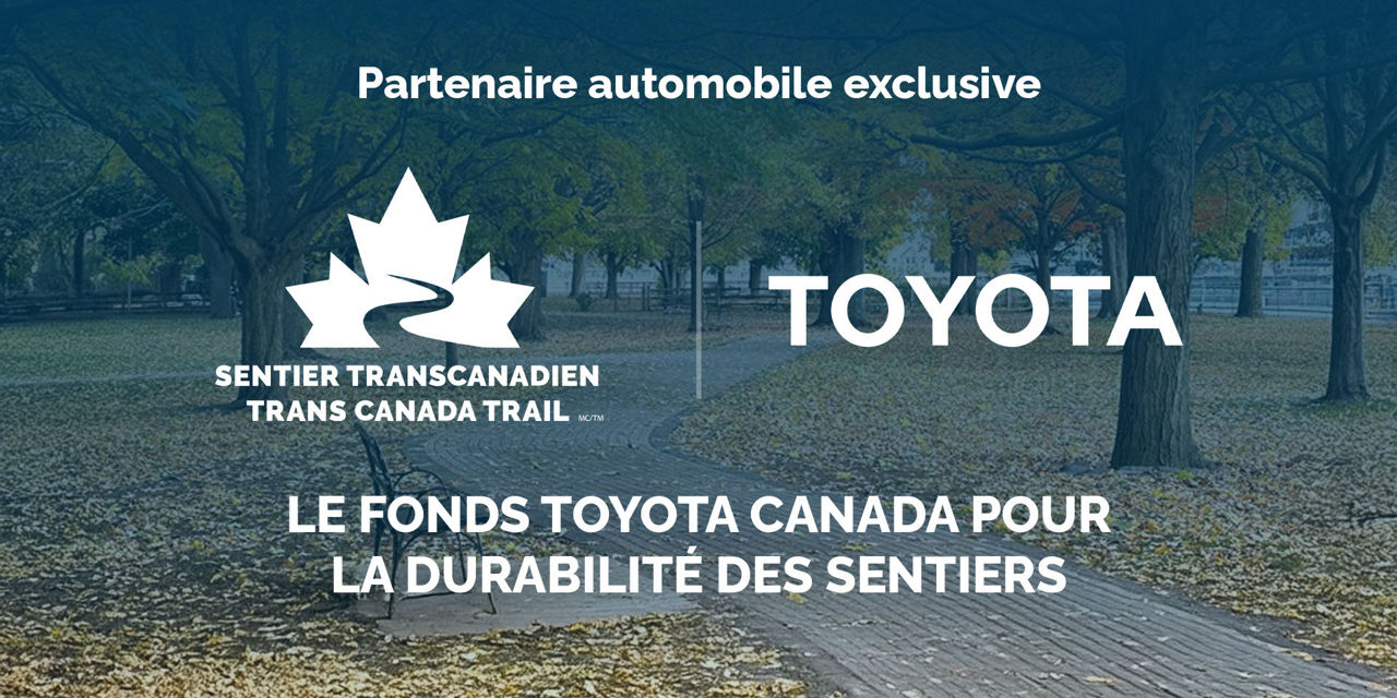 Toyota updated FR 1