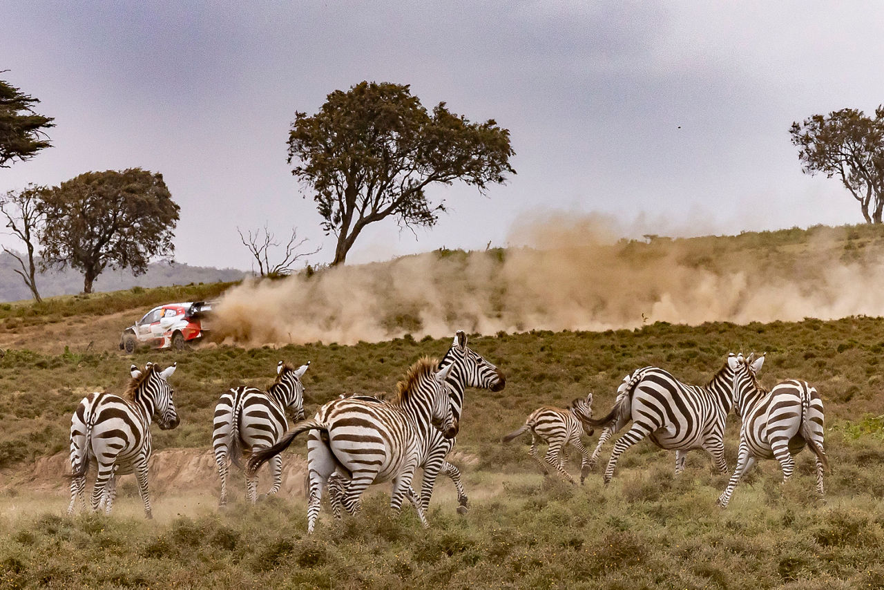 WRC_2022_Rd.6_539