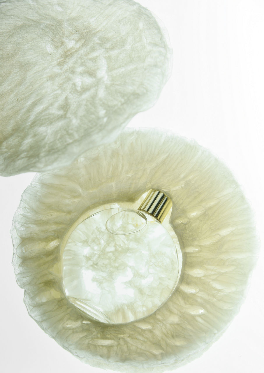 AGAR prototype 1