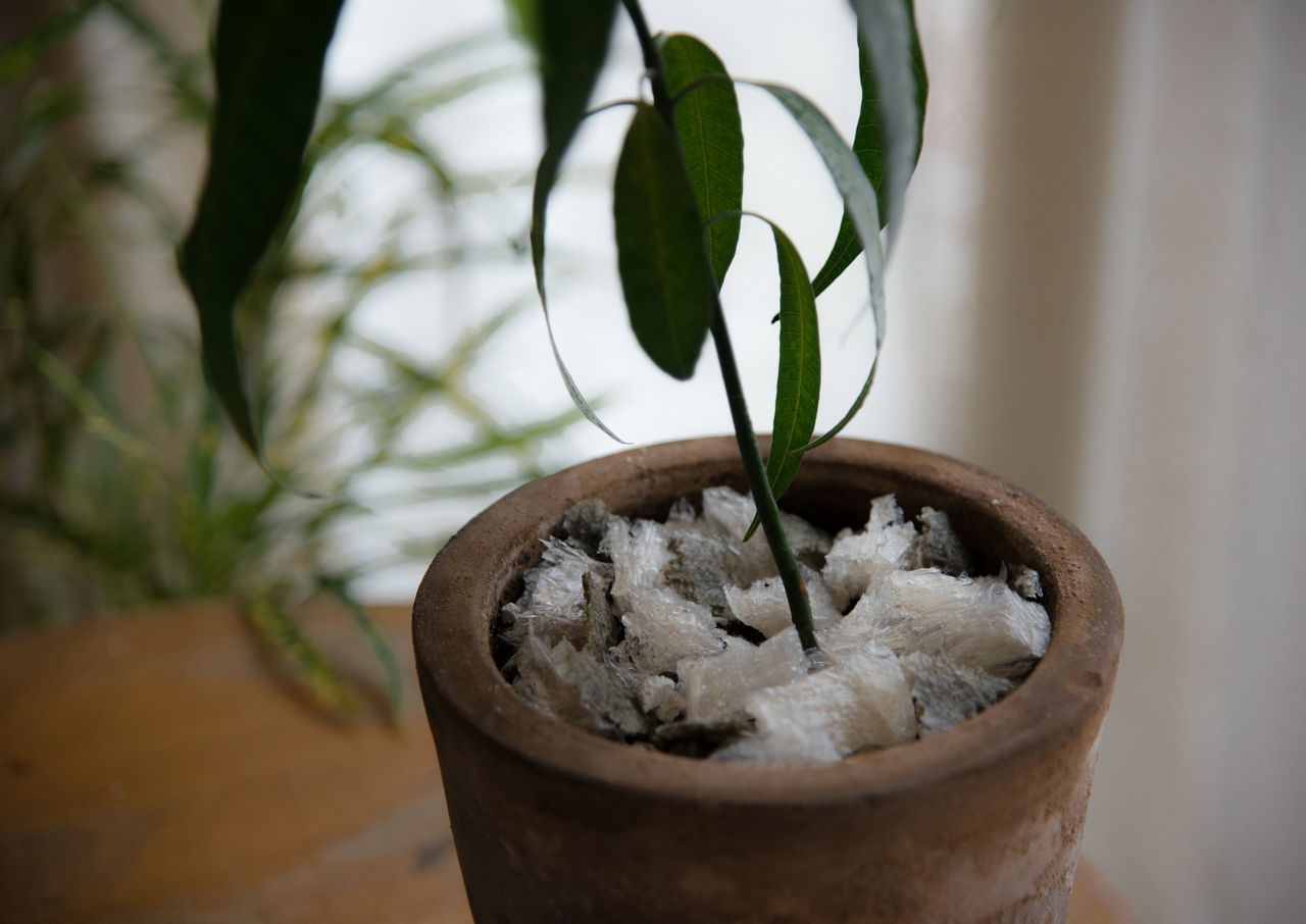 AGAR prototype 2