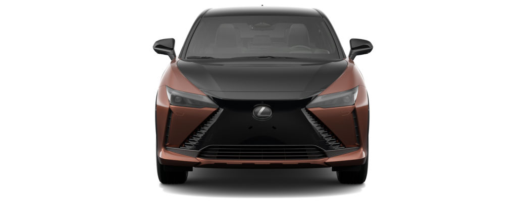 Cuivre Intense & Noir Onyx