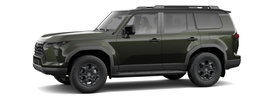 Vert nori nacré & Noir