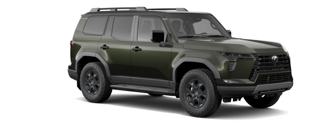 Vert nori nacré & Noir