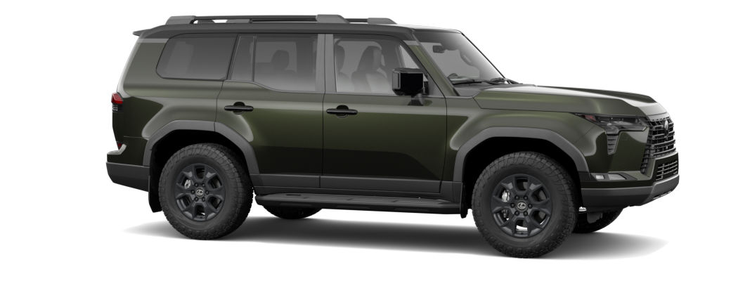 Vert nori nacré & Noir