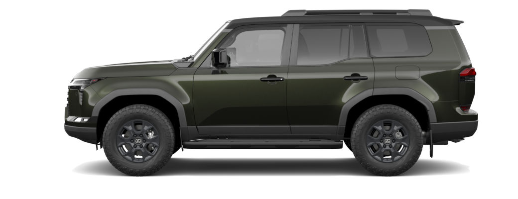 Vert nori nacré & Noir