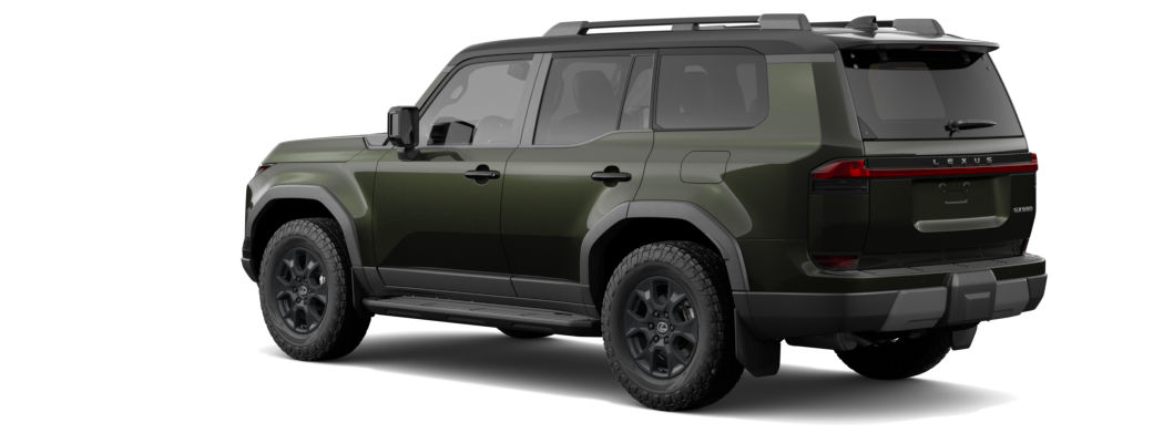 Vert nori nacré & Noir