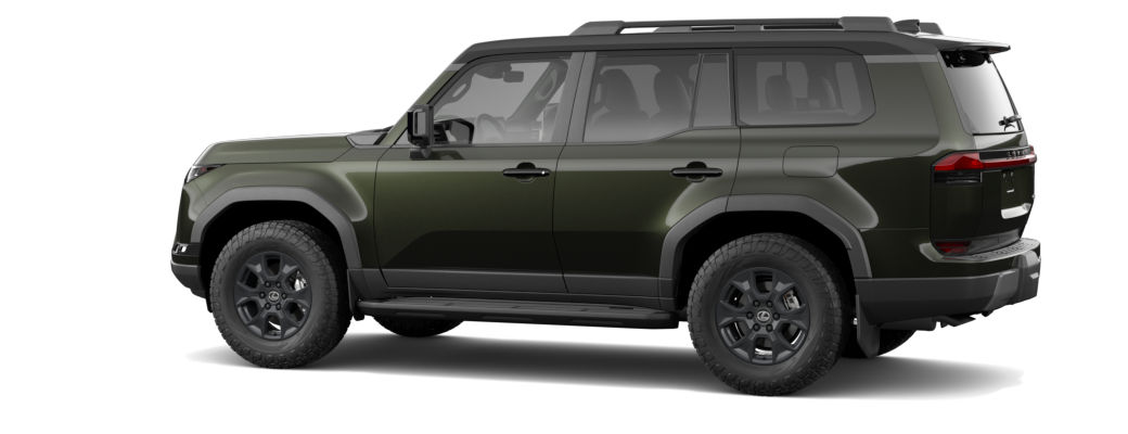 Vert nori nacré & Noir