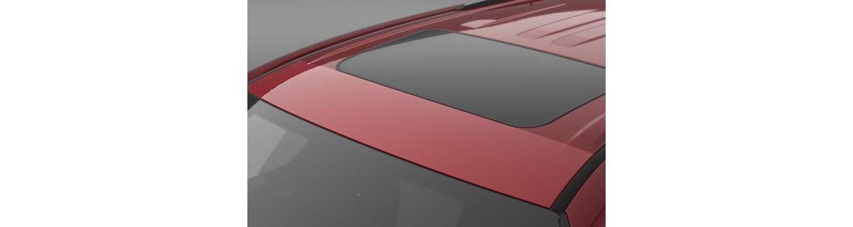 Pro Series Paint Protection Film - Roof — Toyota C4578