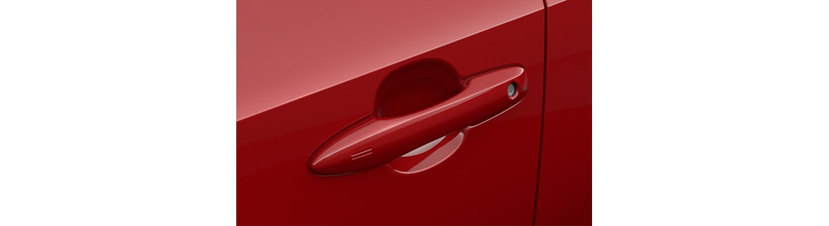 Pro Series Paint Protection Film – Door Cup — Toyota C5165