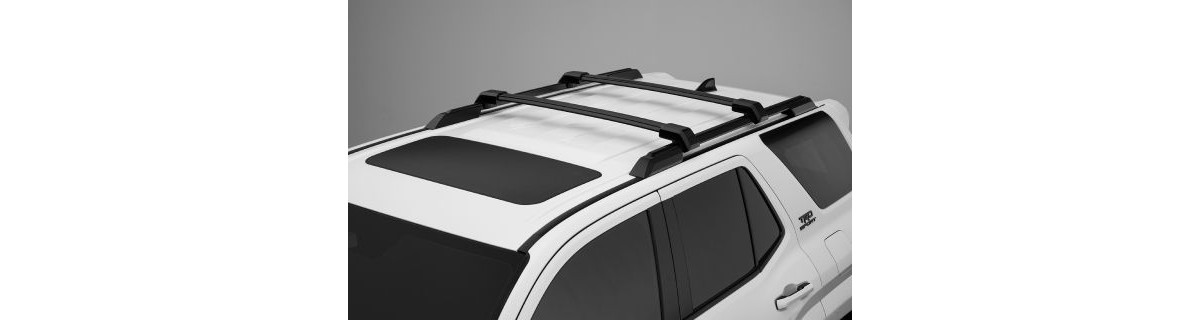 Cross Bars — Toyota D2038