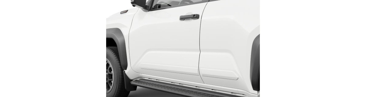 Lower Door Moulding — Toyota D2837