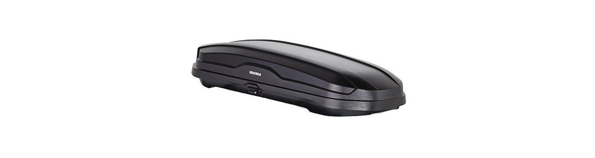 Yakima SkyBox NX  LX — Toyota D4209