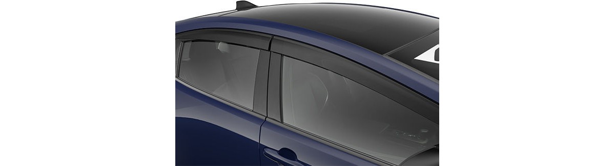 Déflecteurs de glaces latérales — Toyota D4583