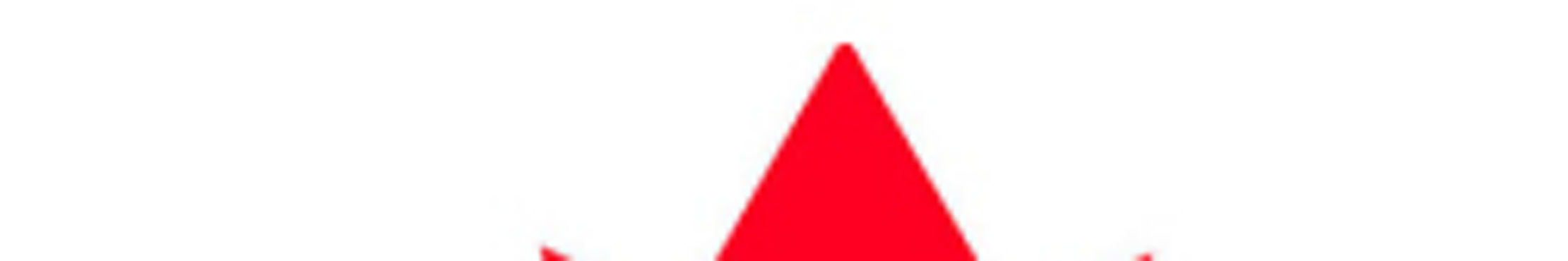 toyota-vision-community-logos-toyota-foundation-l