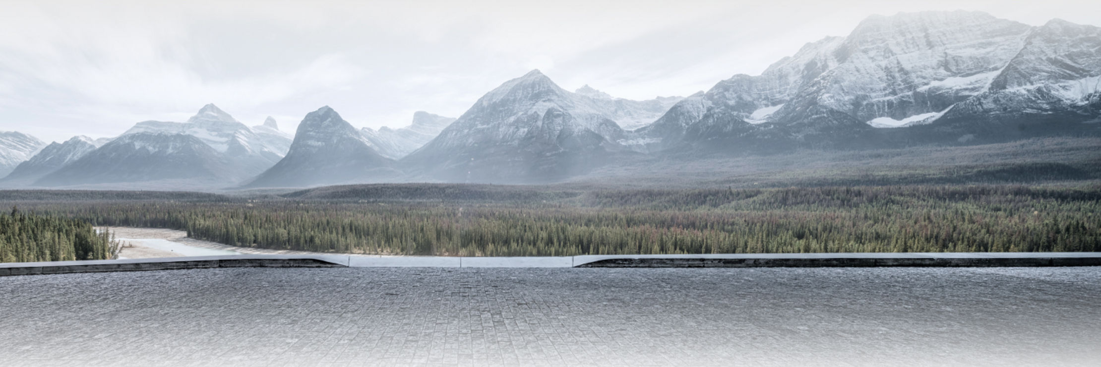 styleguide_lexus-build-and-price-summary-background-nu-m